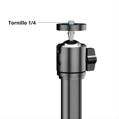 Soporte para Proyector